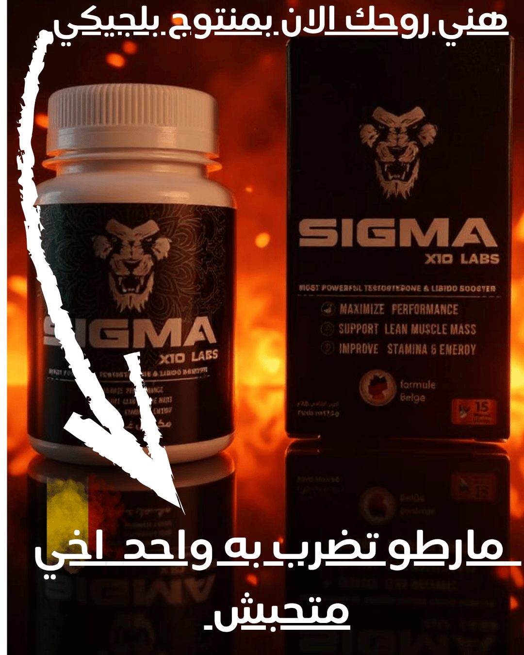 🇧🇪 SIGMA – المنتج اللي رجّع الابتسامة لآلاف الأزواج 😎